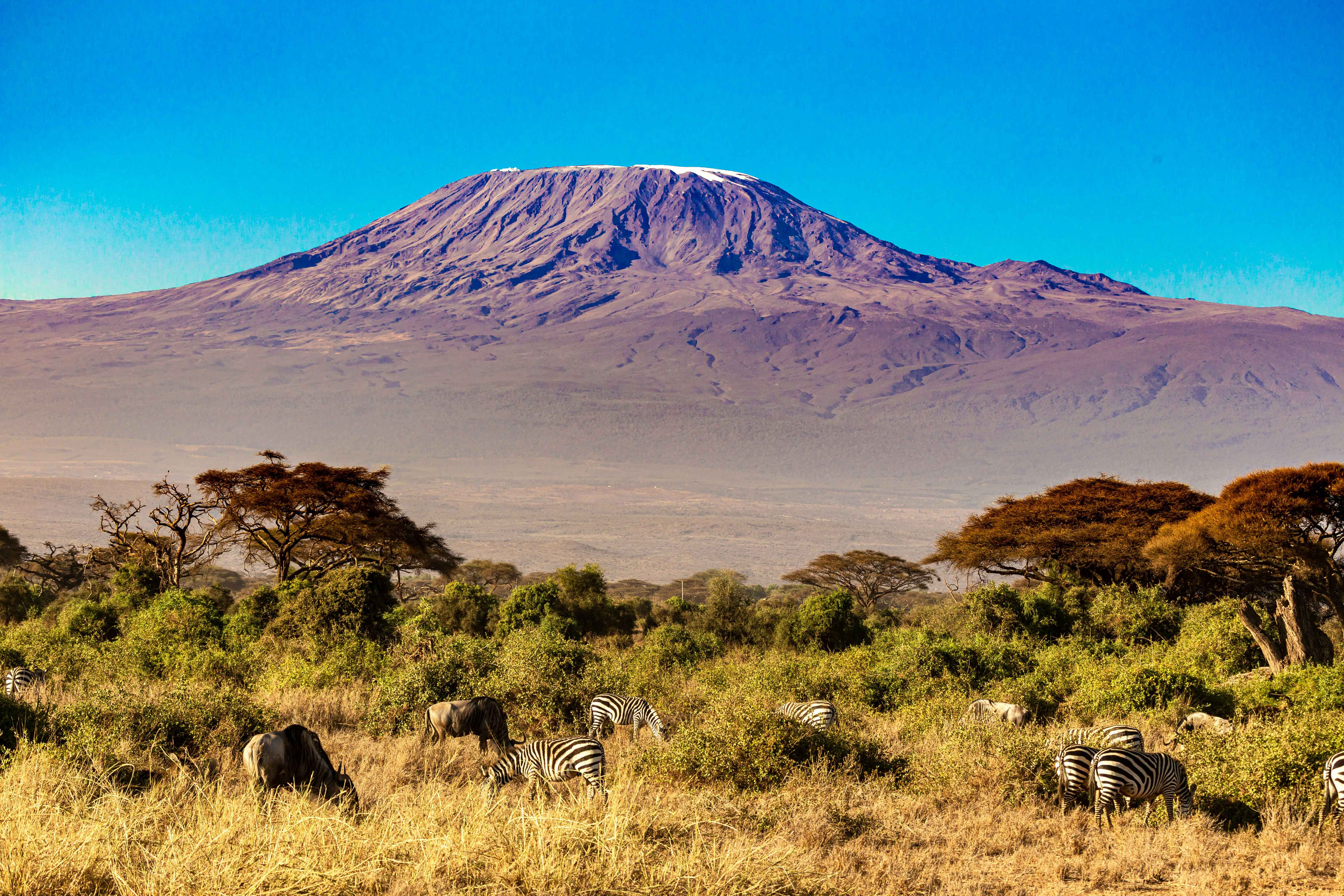 Kilimanjaro Tours