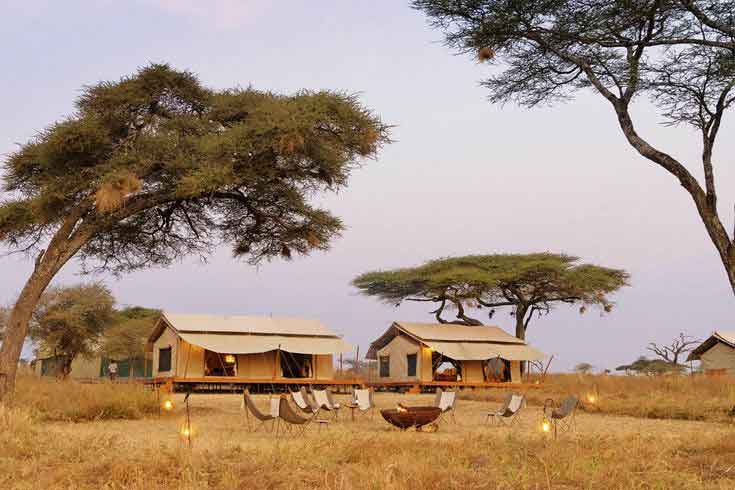 Tanzania Glamping Safari Experience