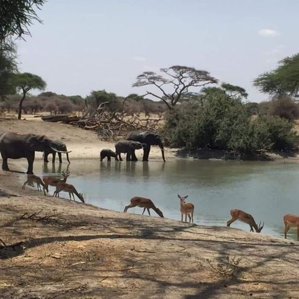 Katavi National Park