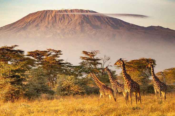 Mt Kilimanjaro Trek – Lemosho Route