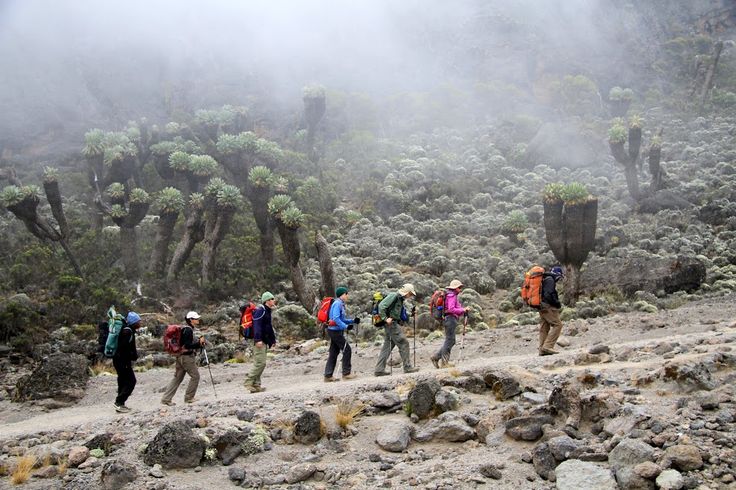 Marangu Route Kilimanjaro