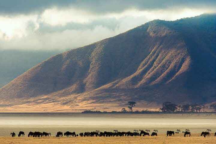 Ngorongoro Crater