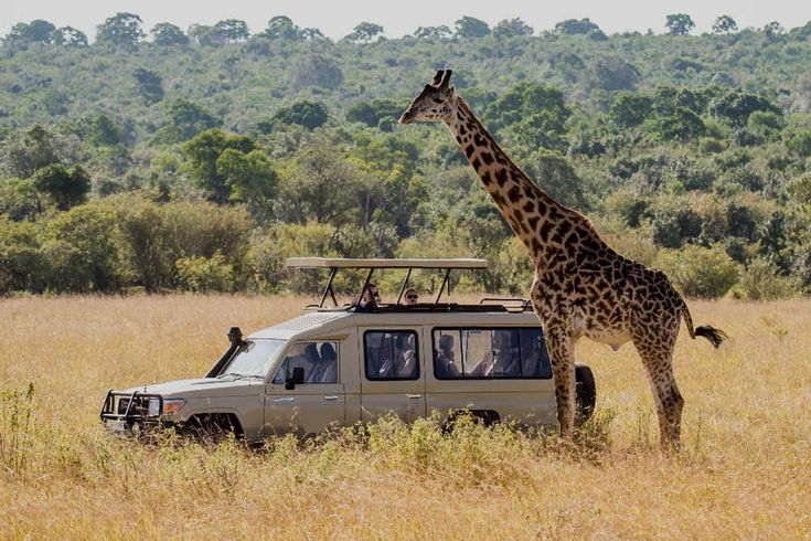 7 Days Safari Tanzania